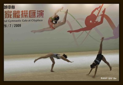 32 Gymnastic Performance.jpg