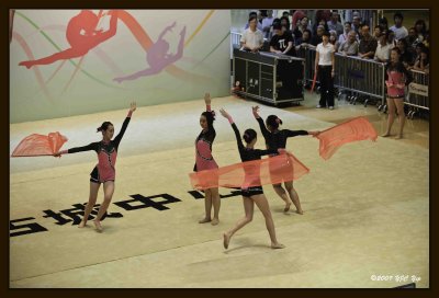 47 Gymnastic Performance.jpg