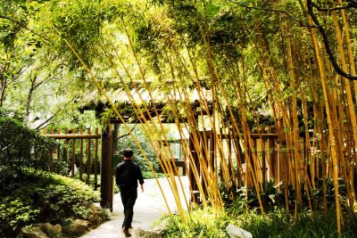 016 Jing An 8-Scenery Garden.jpg