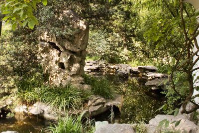 019 The Shrimp Pond.jpg