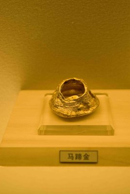 100 Horseshoe Gold Nugget.jpg