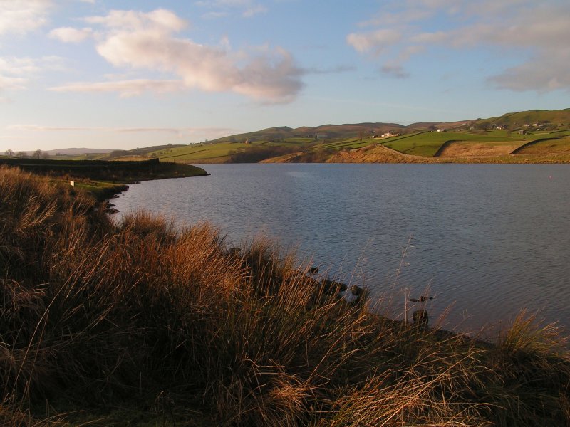 county_durham_dec_09