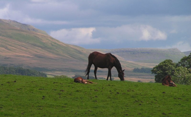 around_dufton_july_2007