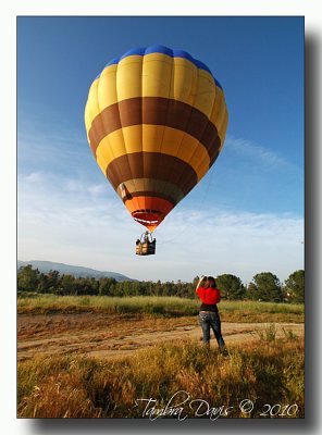 Hot Air Balloons 2010