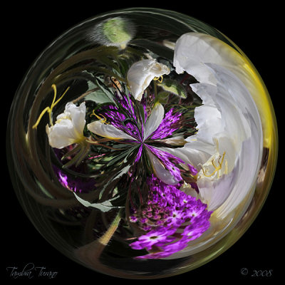 Anza-Borrego Wildflower Sphere