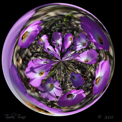 Wildflower Sphere