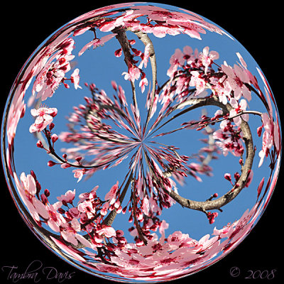 Plum Blossom Sphere