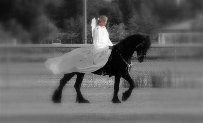 IMG_4815 (Large).JPG