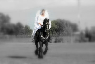 IMG_4825 (Large).JPG