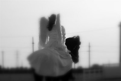 IMG_4853 (Large).JPG
