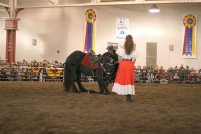 IMG_2794.JPG