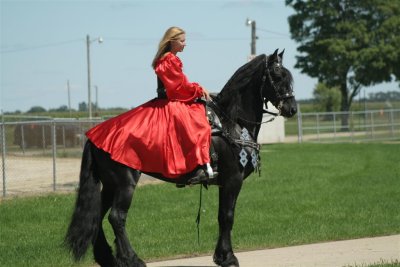 IMG_0886 (Large).JPG