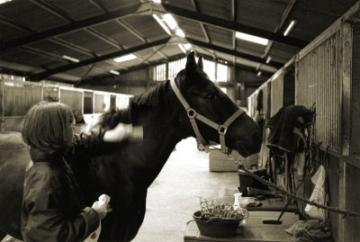 Stables, Suffolk, England