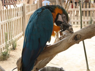 IMG_6491.jpg
