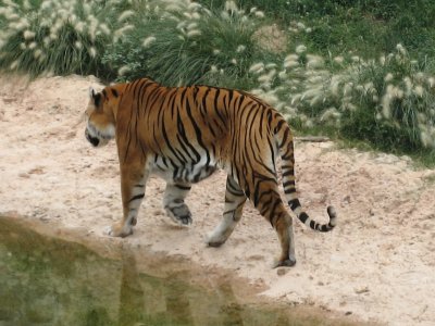 IMG_6566.jpg