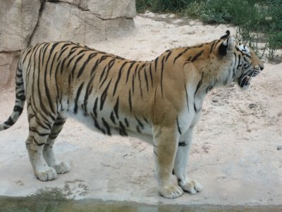IMG_6578.jpg