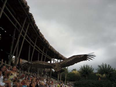 IMG_6606.jpg