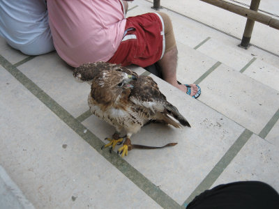 IMG_6611.jpg