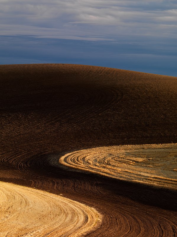 Crop Circles