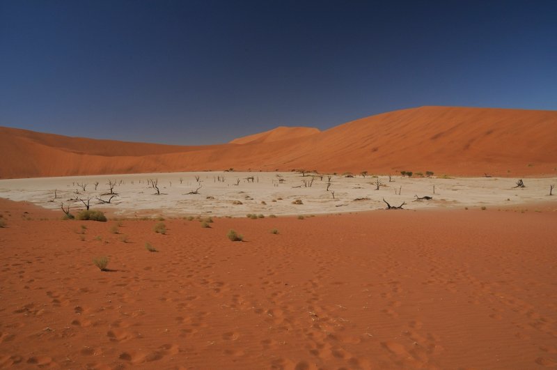 Dead Vlei