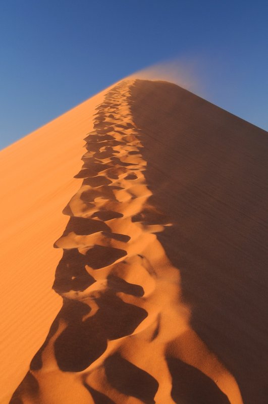 Dune 45