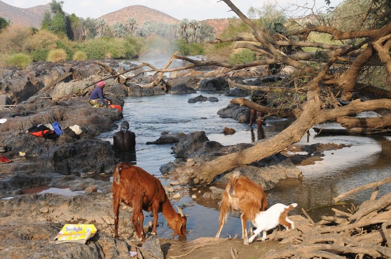 Tribu des Himbas