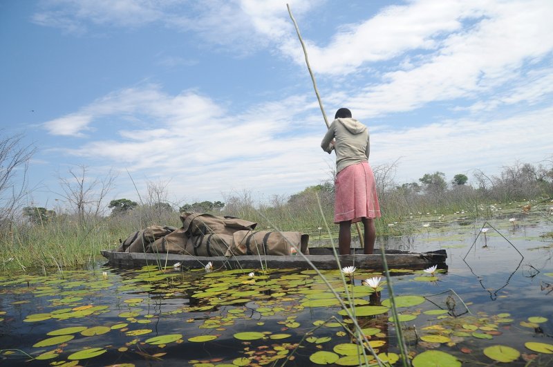 Delta d'Okavango, Botswana