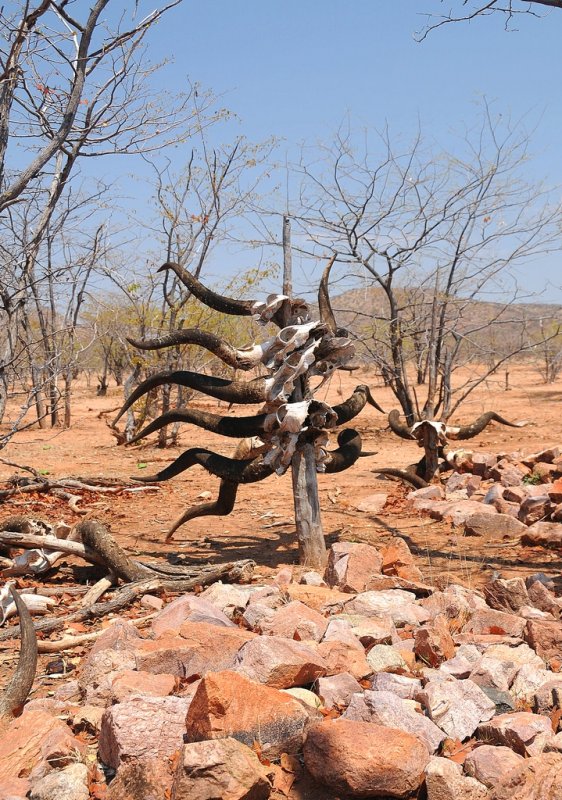 Cimetire Himba