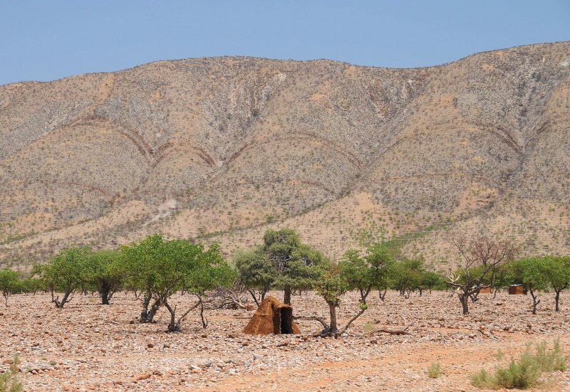 Rgion de Palmwag, Namibie