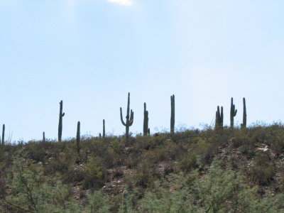 arizona2007 034.jpg