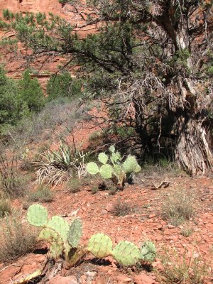 arizona2007 127.jpg