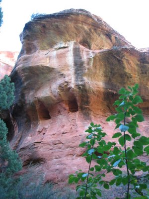 arizona2007 145.jpg