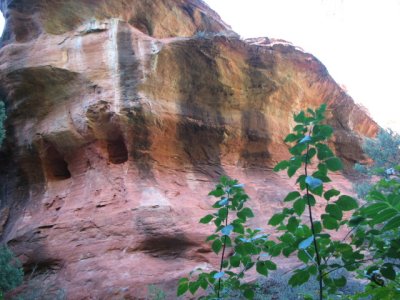 arizona2007 146.jpg