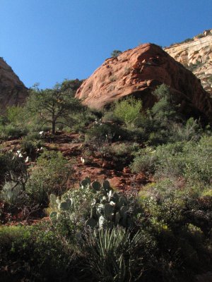 arizona2007 152.jpg