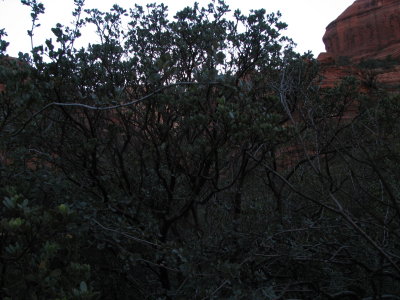 arizona2007 171.jpg