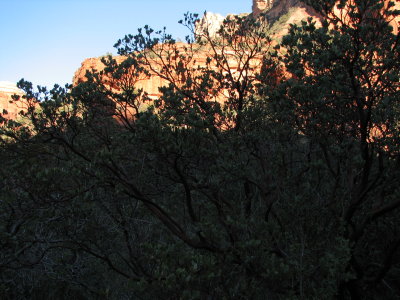 arizona2007 178.jpg