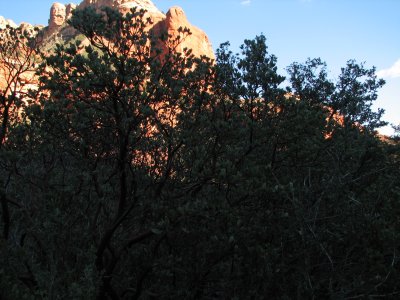 arizona2007 179.jpg