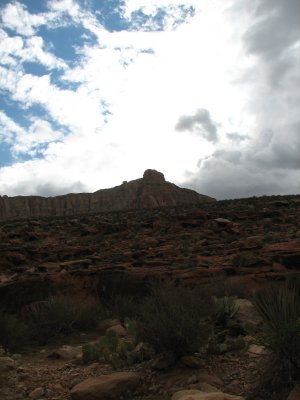 arizona2007 307.jpg