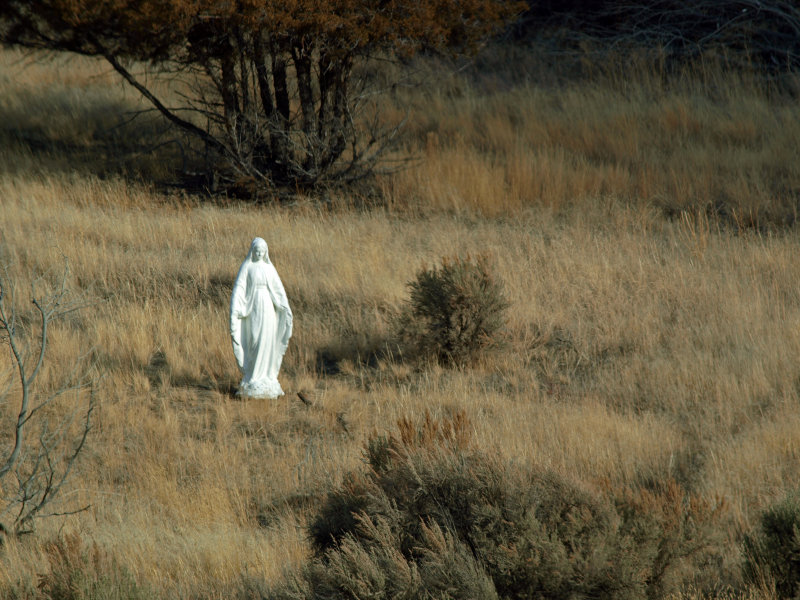 Sagebrush Madonna