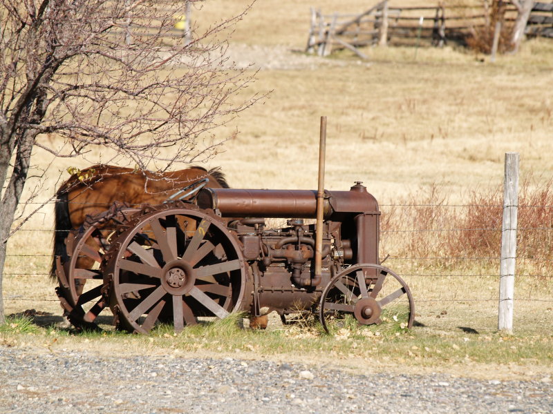 Nevada Yard Art