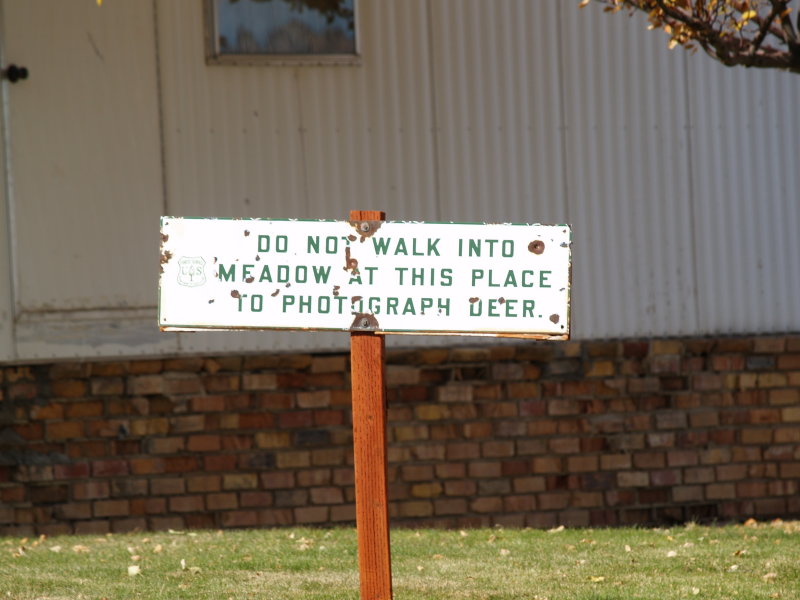 We Found Out Who Steals All The Forrest Service Signs!