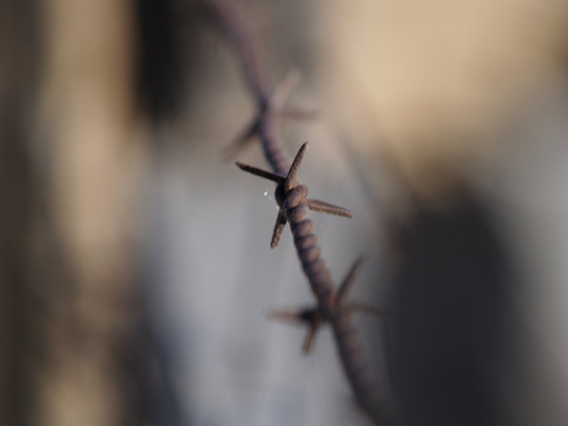 Old Barb Wire (bob wire to some of us)