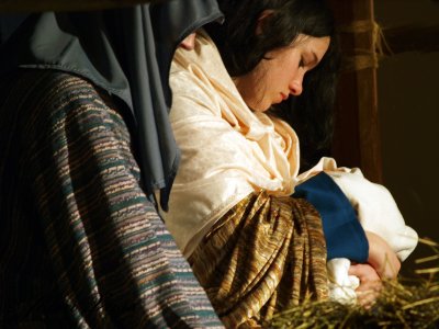 The Lamb in The Manger