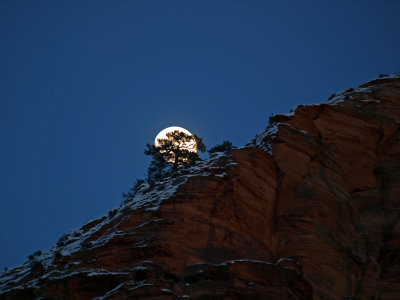 Moonrise in Zion