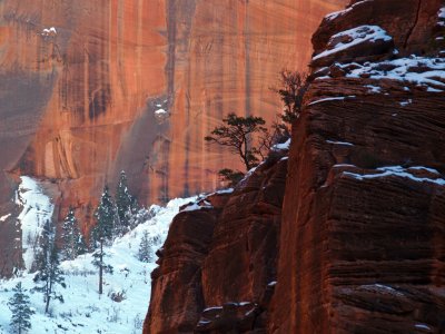 The Walls of Zion