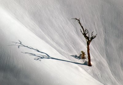 The Slow Dance of Snow and Shadow