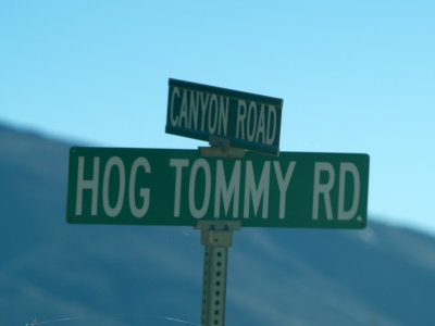 Who the Hell is Hog Tommy?