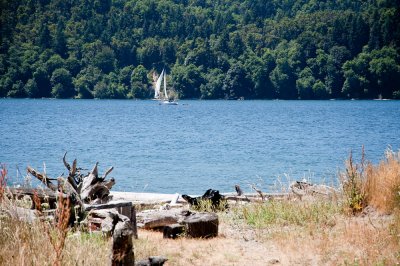 Outer Quartermaster Harbor