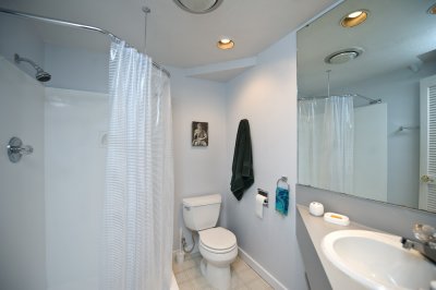 Downstairs bath