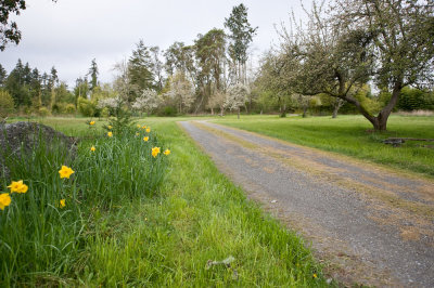 Driveway to the property